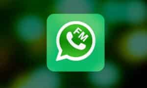 Begini Cara Menggunakan FM WhatsApp, Cek Sekarang!