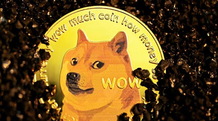 Prediksi Harga Dogecoin Tahun 2025 - 2030, Akankan To The Moon?